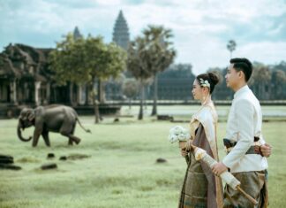 Convert YouTube To MP4 Easily: Discover The Best Free Methods Today