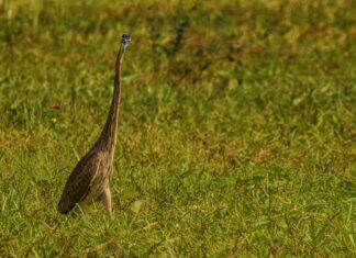 Youtube Mp3 Converter Reddit: Why Is It Trending Among Users?