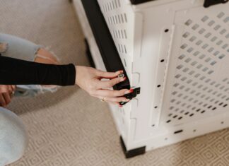 YouTube To Mp3 Converter Safe: Discover The Best Secure Options