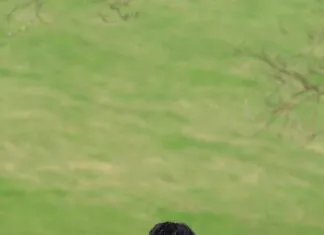 Best YouTube To Mp3 Converter Reddit Users Swear By – Find Out Why!