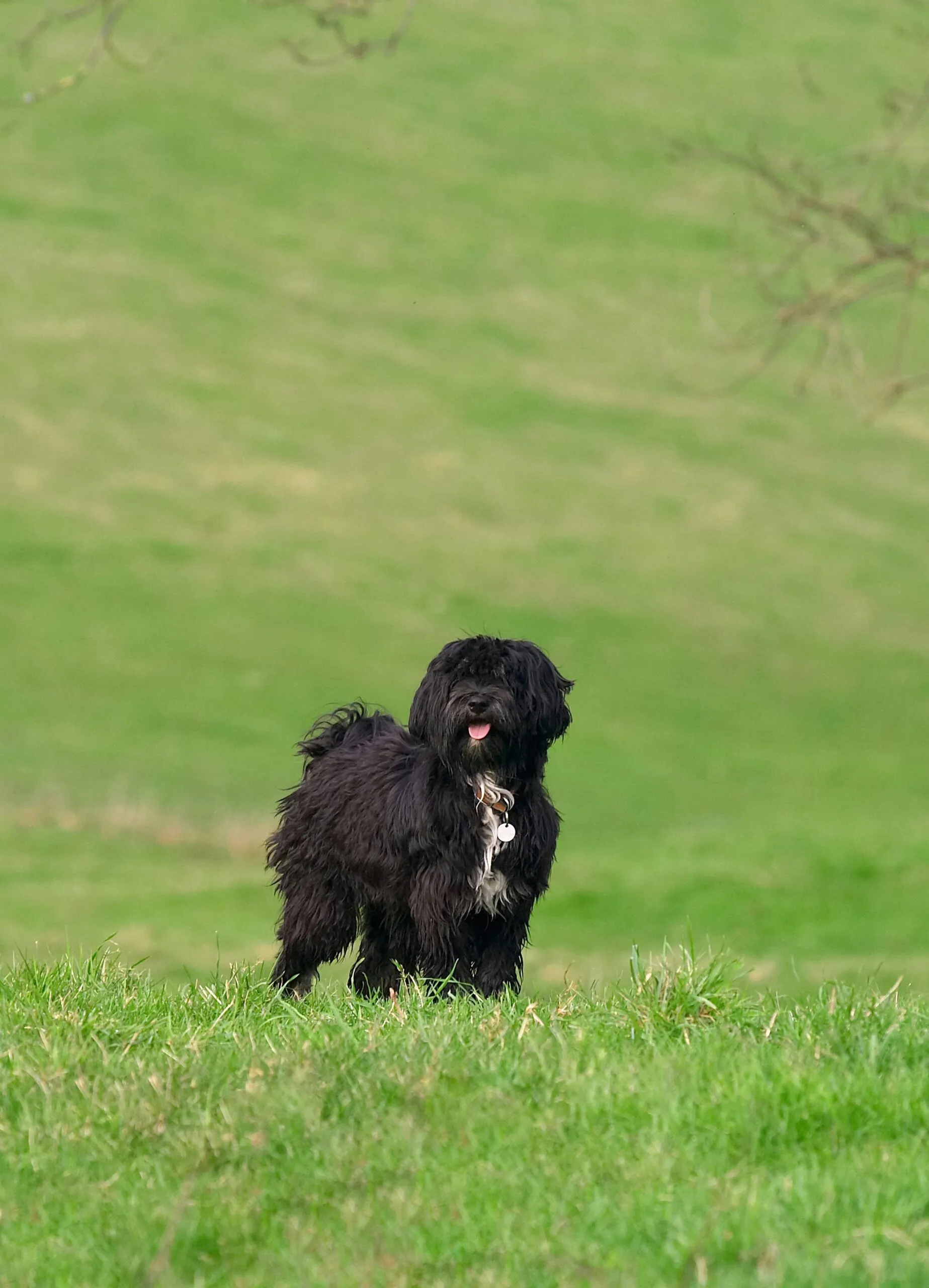 Best YouTube To Mp3 Converter Reddit Users Swear By – Find Out Why!