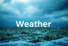 The Intersection of Technology and Weather: How AI is Revolutionizing Forecasting The Intersection of Technology and Weather: How AI is Transforming Forecasting