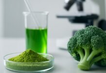 How Cutting-Edge Studies Are Unveiling Nature’s Most Potent Health Boosters How Cutting-Edge Studies Are Unveiling Nature’s Most Potent Health Boosters